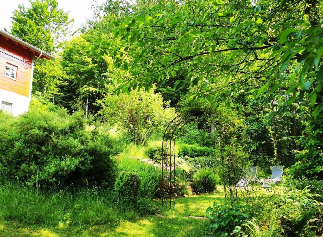 Ferienwohnung Am Woid - Herrliche Alleinlage - Vegane Einrichtung Waldkirchen Exterior foto